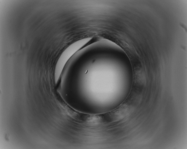 X0000097900274200803141401