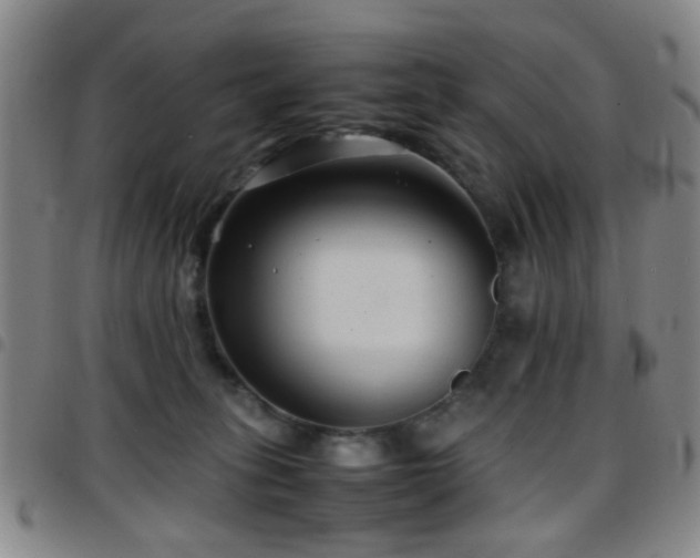 X0000097900275200803141401