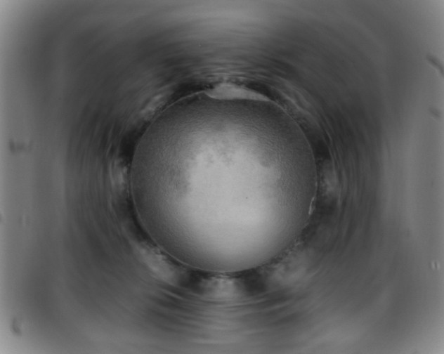 X0000097900276200803141401