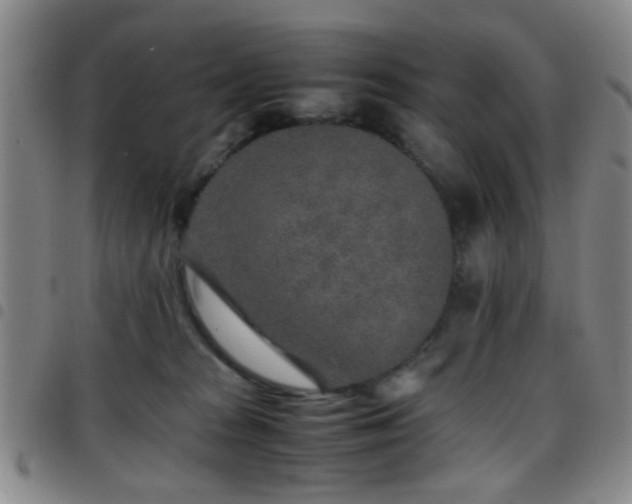 X0000097900277200803141401