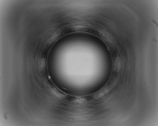 X0000097900278200803141401