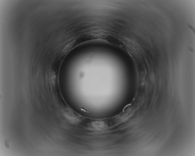 X0000097900279200803141401