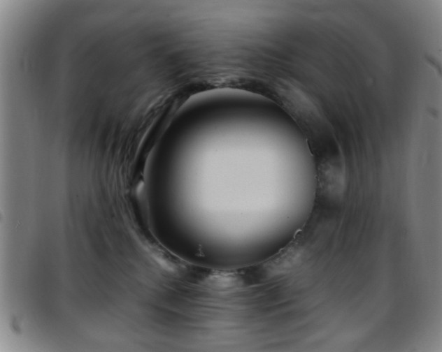 X0000097900280200803141401