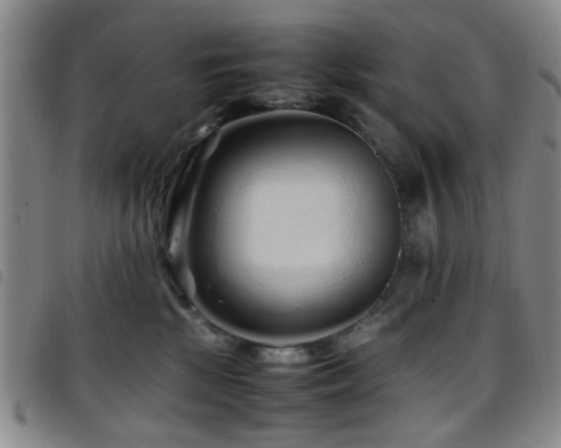 X0000097900281200803141401