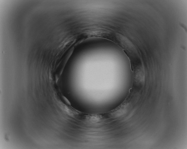 X0000097900282200803141401