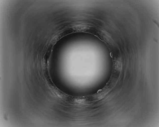 X0000097900283200803141401