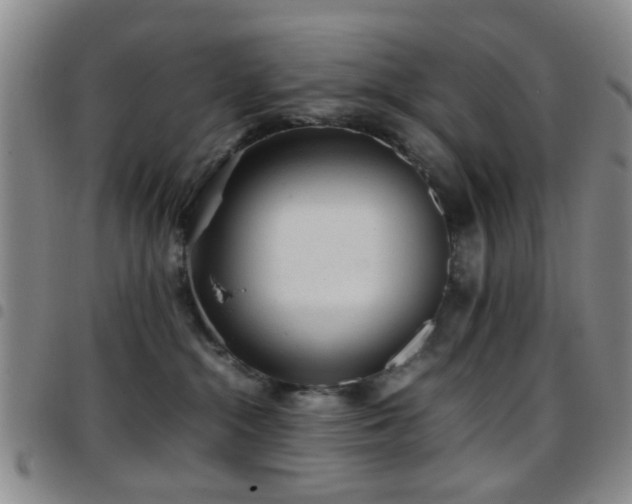 X0000097900284200803141401