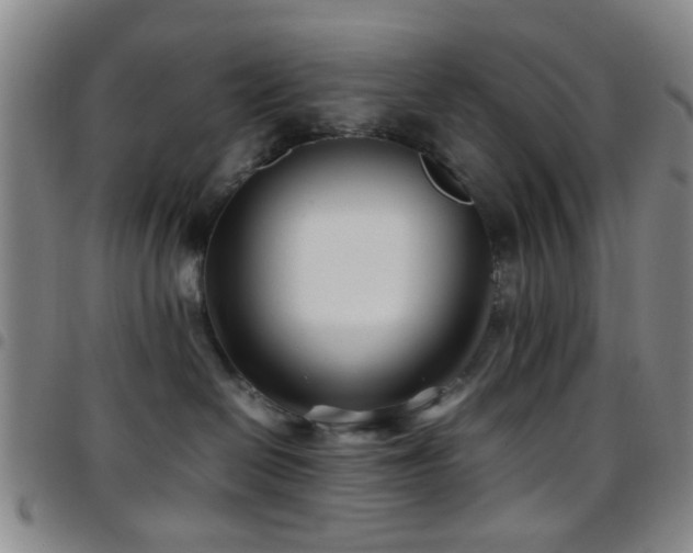 X0000097900286200803141401