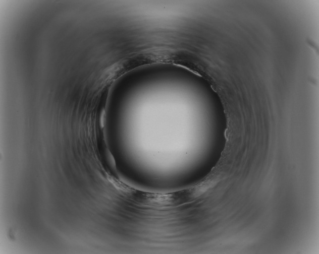 X0000097900288200803141401