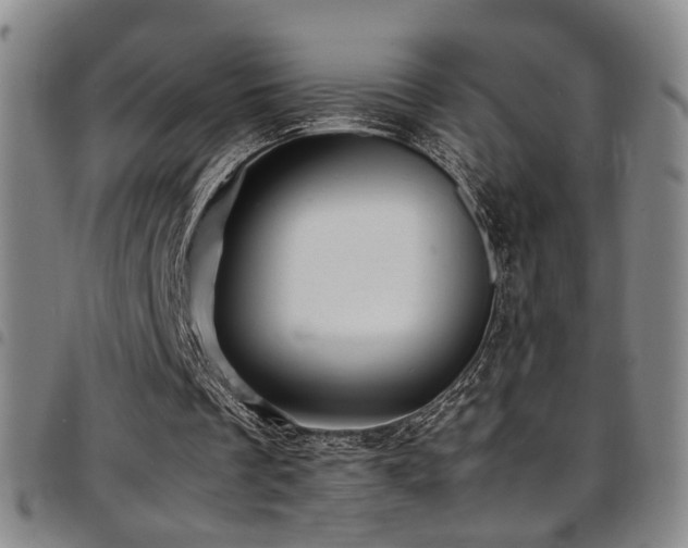 X0000097900289200803141400