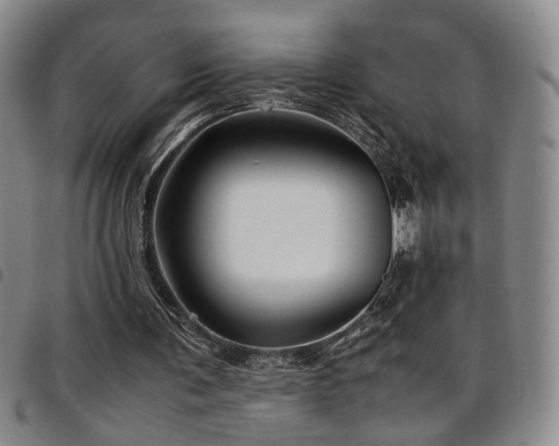 X0000097900291200803141400