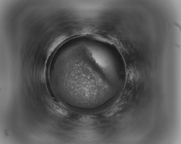 X0000097900292200803141400