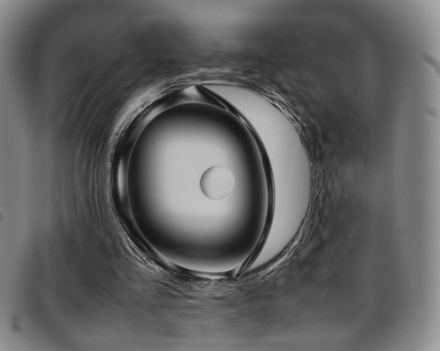 X0000097900293200803141400