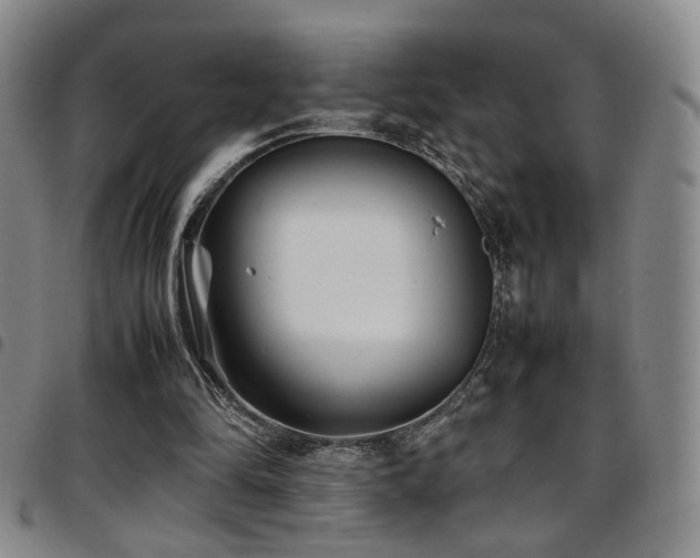 X0000097900294200803141400