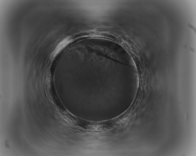 X0000097900295200803141400