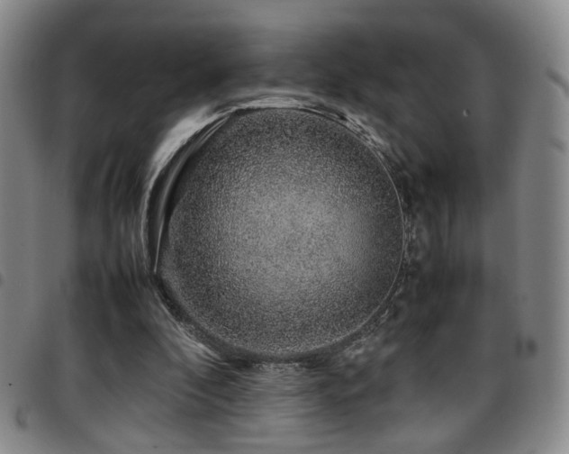 X0000097900296200803141400