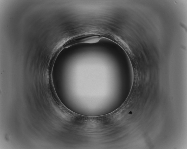 X0000097900298200803141400