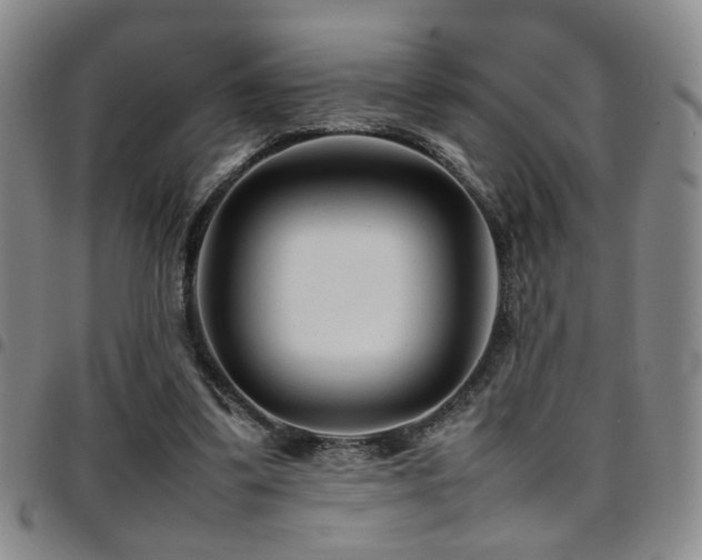 X0000097900299200803141400