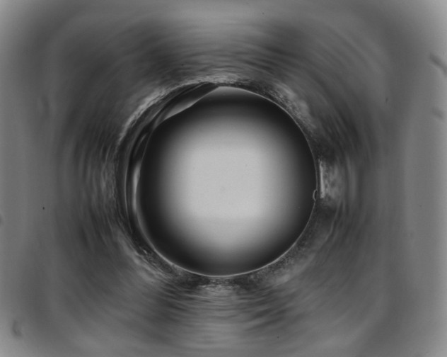 X0000097900300200803141400