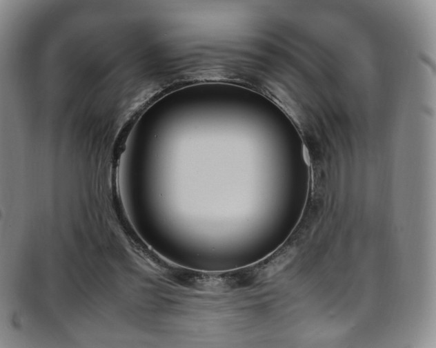 X0000097900301200803141400