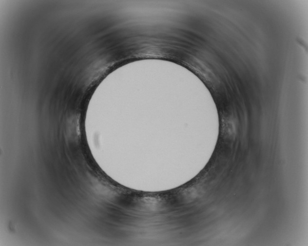 X0000097900302200803141400