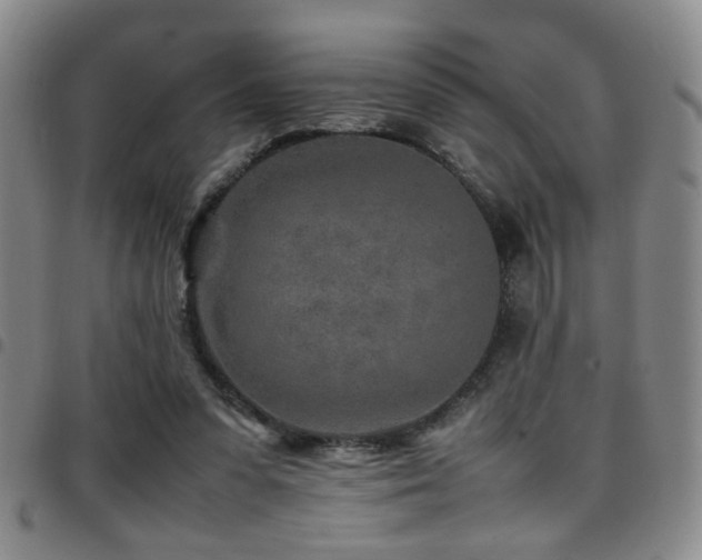 X0000097900303200803141400