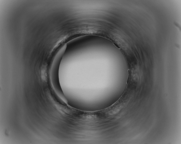 X0000097900304200803141400