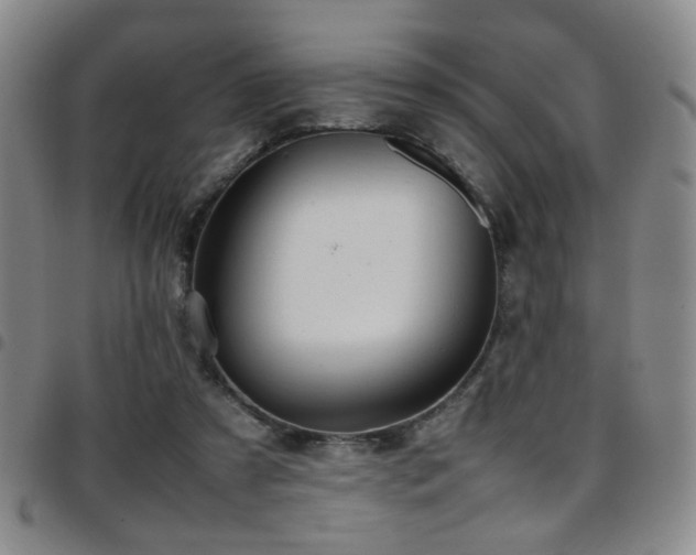 X0000097900305200803141400