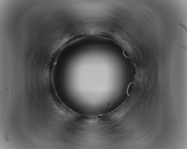 X0000097900306200803141400