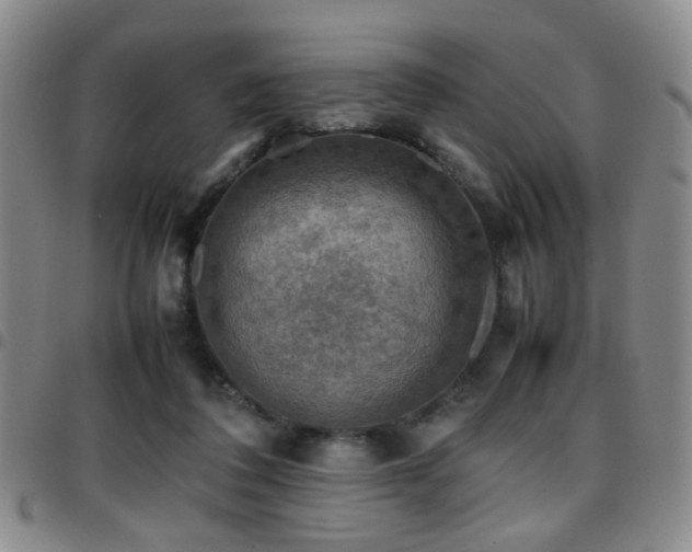 X0000097900308200803141400