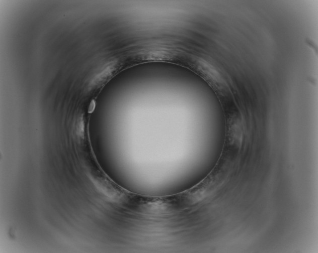 X0000097900310200803141400