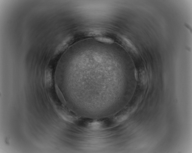 X0000097900312200803141400