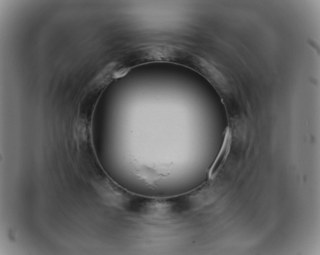 X0000097900313200803141400