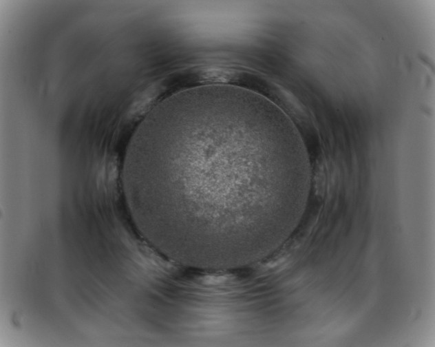 X0000097900314200803141400