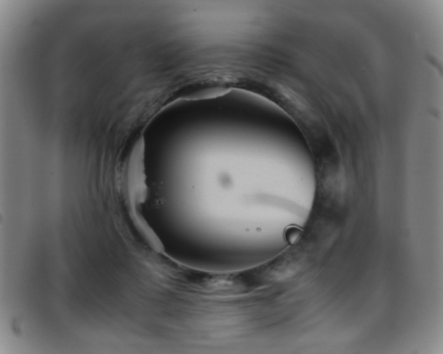 X0000097900315200803141400