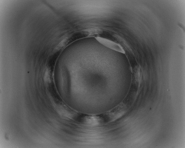 X0000097900316200803141400