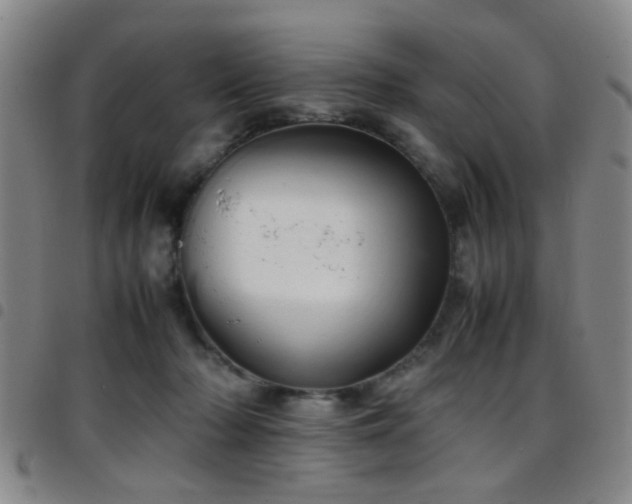 X0000097900318200803141400