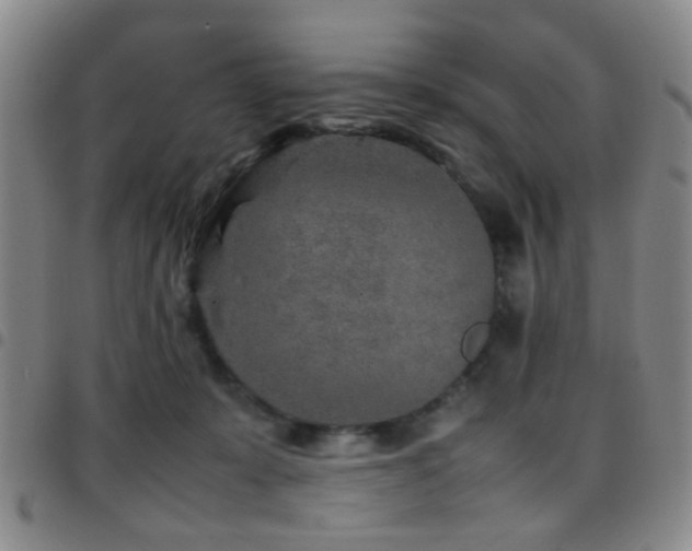 X0000097900319200803141400