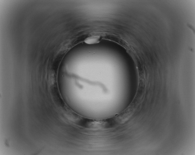 X0000097900323200803141400