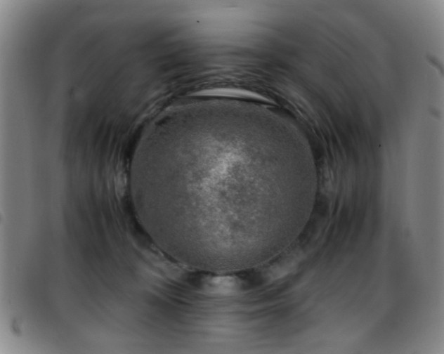 X0000097900324200803141400