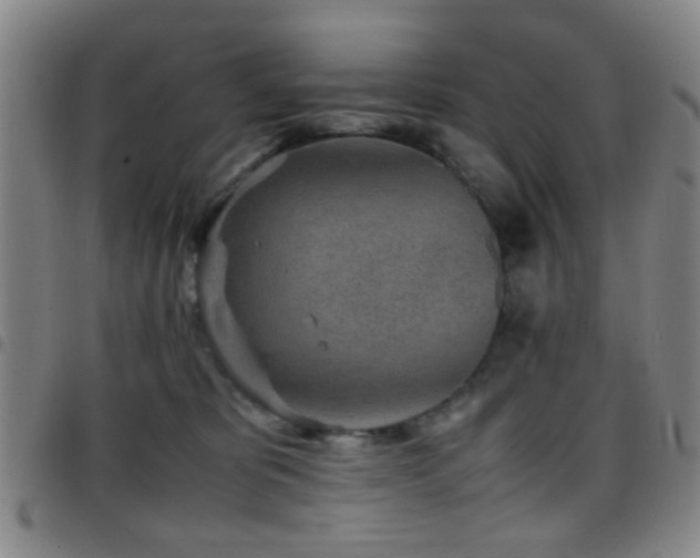 X0000097900325200803141400