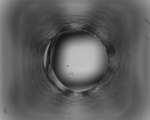 X0000097900329200803141400