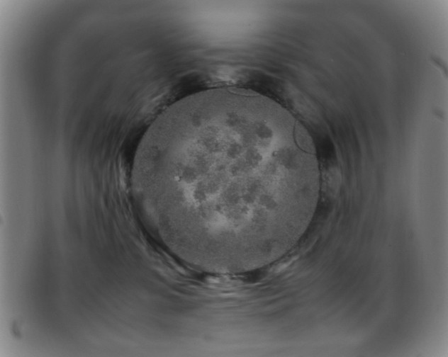 X0000097900331200803141400