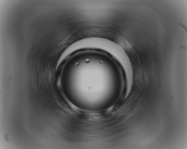 X0000097900332200803141400