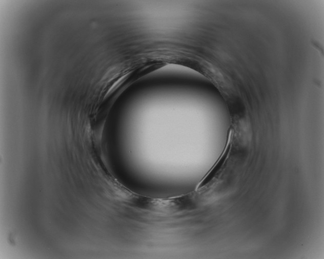 X0000097900333200803141400