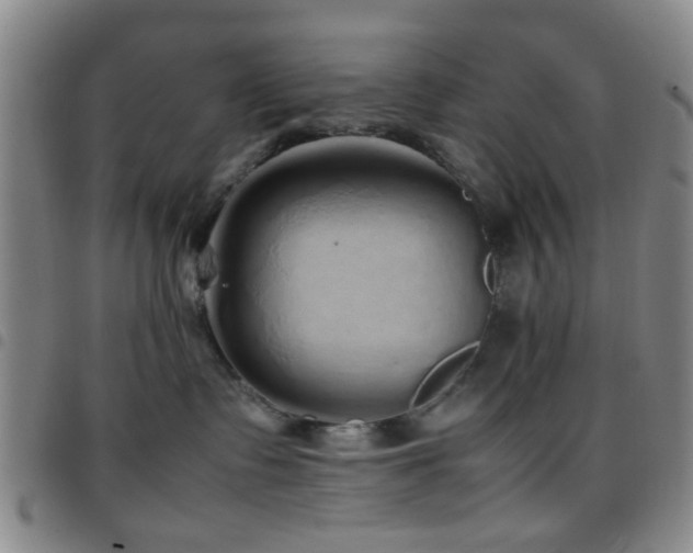 X0000097900335200803141400