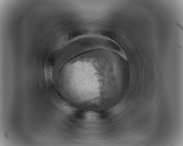 X0000097900336200803141400