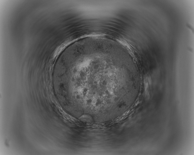 X0000097900337200803141359