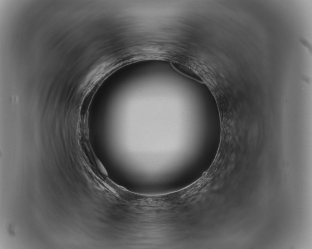 X0000097900338200803141359