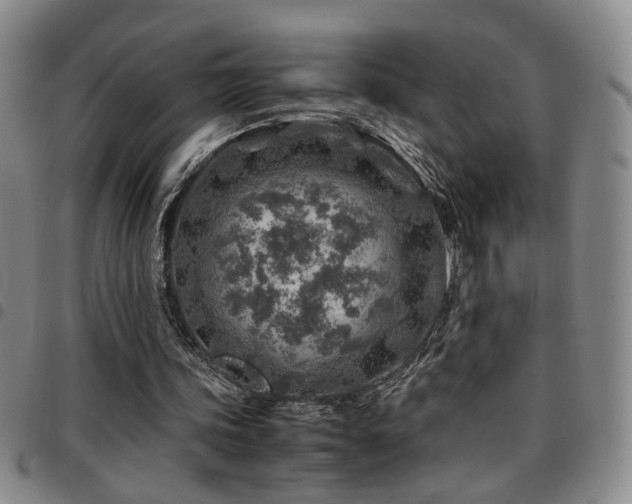 X0000097900339200803141359